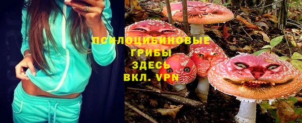ECSTASY Дмитровск