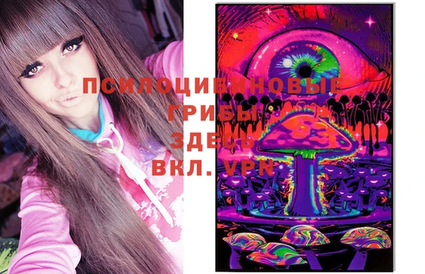 ECSTASY Дмитровск