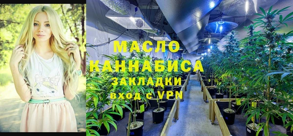 ECSTASY Дмитровск