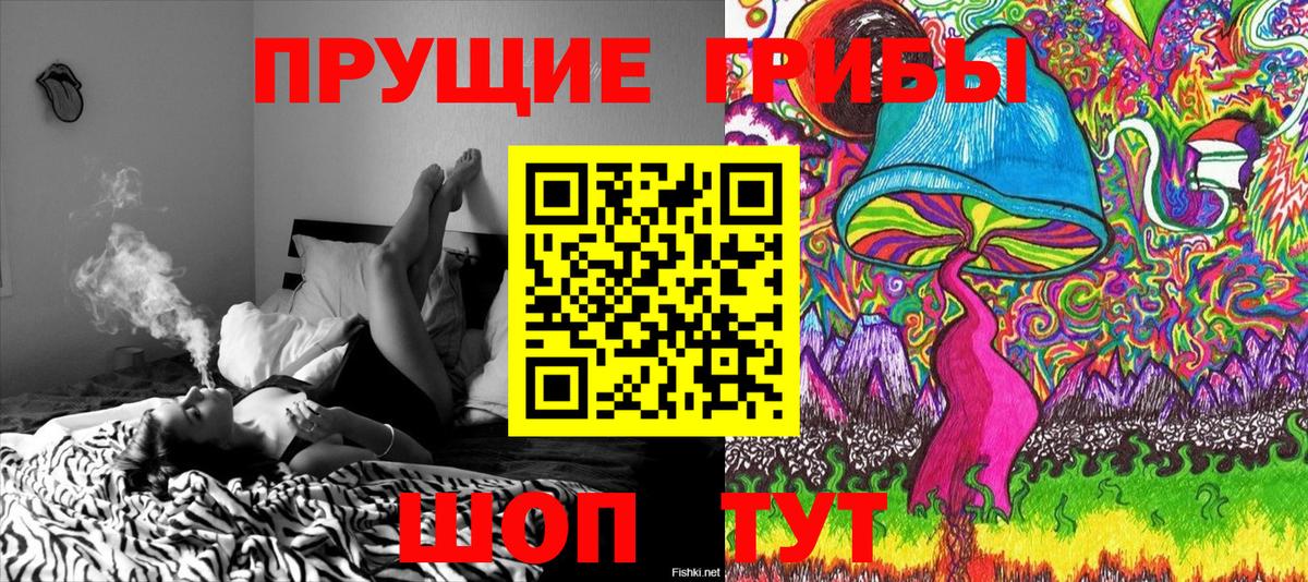 Галлюциногенные грибы ЛСД Отрадный